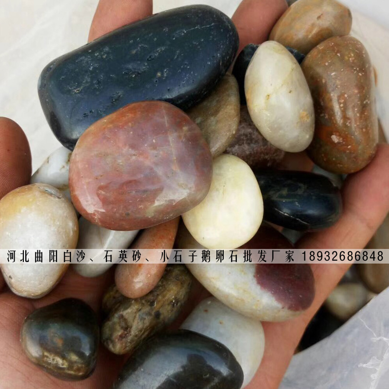 小石子 鹅卵石小石子 彩色小石子 石子厂家直销 小石子批发